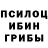 Галлюциногенные грибы Psilocybe miyaka caraballo
