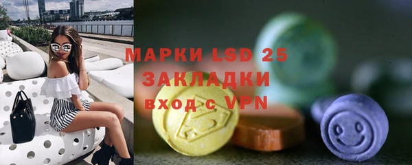ПСИЛОЦИБИНОВЫЕ ГРИБЫ Сясьстрой