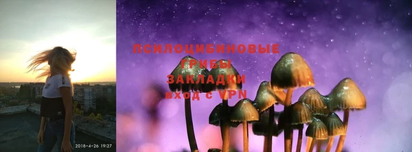 не бодяженный Дмитровск
