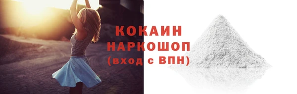 шишки Дмитров