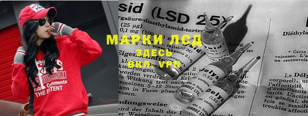 прущие крисы Тайга
