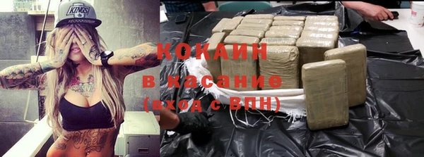 шишки Дмитров