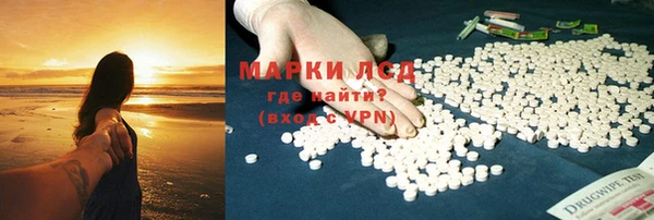альфа пвп Новодвинск