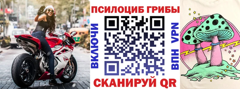 Псилоцибиновые грибы Psilocybe  ссылка на мегу зеркало  Нязепетровск 